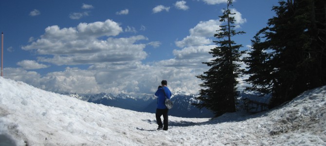 [May in Seattle] Hurricane Ridge, Olympic National Park