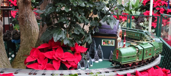 [December in Seattle] Volunteer Park Conservatory Train Display
