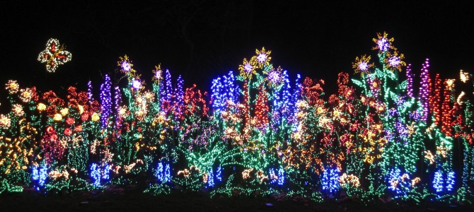 [12月西雅图]贝尔维尤植物园(Bellevue Botanical Garden)点亮花园活动(Garden d’Lights)