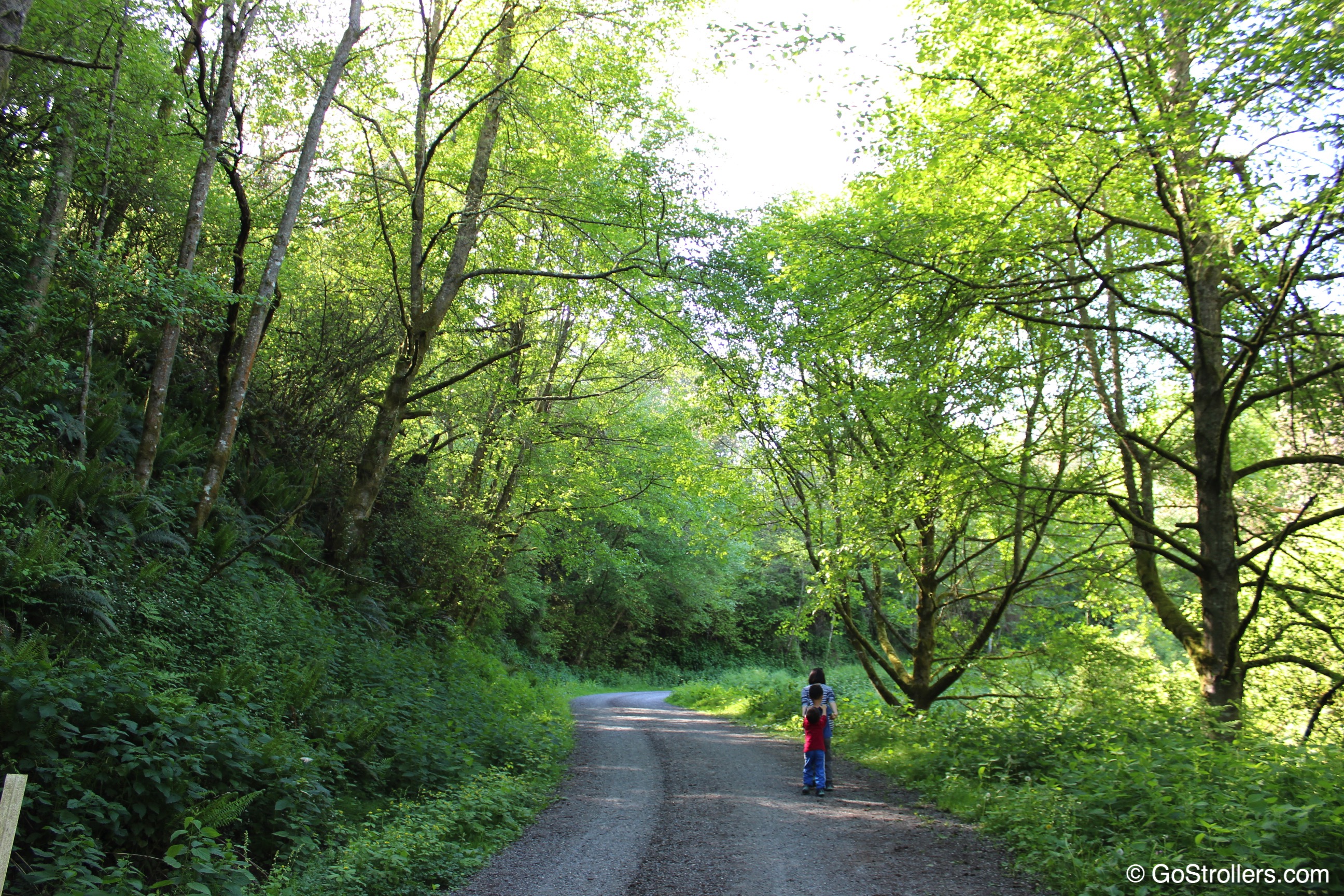 [May in Seattle] Maury Island Marine Park, VashonMaury Island Go