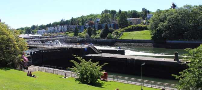 [May in Seattle] Ballard Locks (Hiram M. Chittenden Locks)