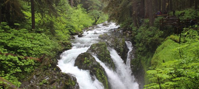 [Short Trip, May in Seattle] Sol Duc Falls, Olympic National Park
