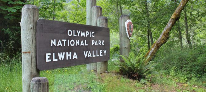 [5월 시애틀] 올림픽 국립공원(Olympic National Park) 엘화 밸리(Elwha Valley)