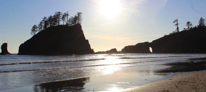 [Short Trip, May in Seattle] Mora / La Push – Second Beach, Olympic National Park