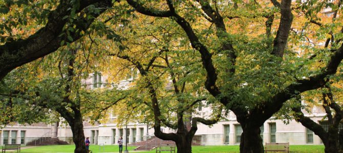 [October in Seattle] Fall in University of Washington
