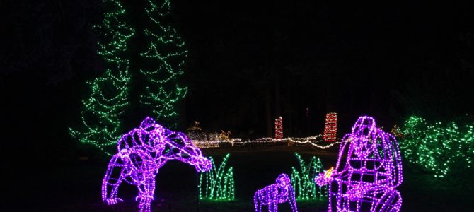 [12월 시애틀] 와일드 라이츠(WildLights), 우드랜드 파크 동물원(Woodland Park Zoo)