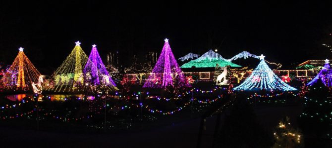 [December in Seattle] The Lights of Christmas