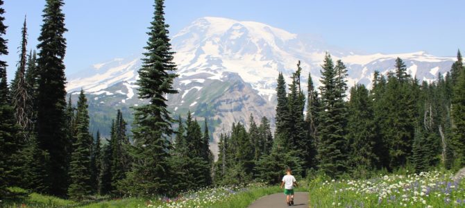 [August in Seattle] Nisqually Vista Trail, Paradise, Mount Rainier National Park