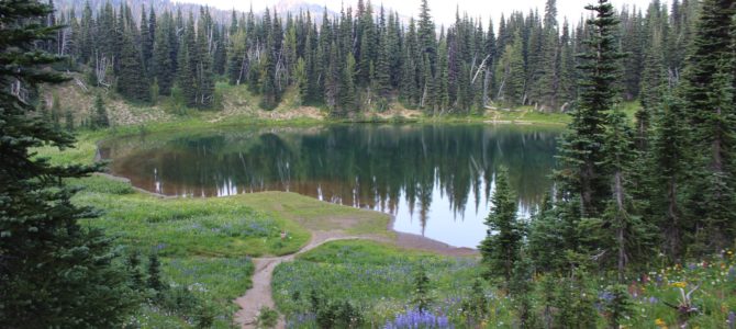 [August in Seattle] Shadow Lakes Trail, Sunrise, Mount Rainier National Park
