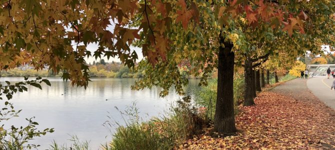 [10月西雅图]秋天的翠湖公园(Green Lake Park)