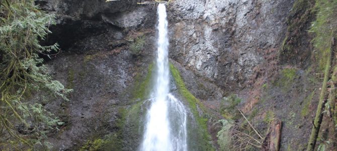 [February in Seattle] Marymere Falls, Lake Crescent, Olympic National Park